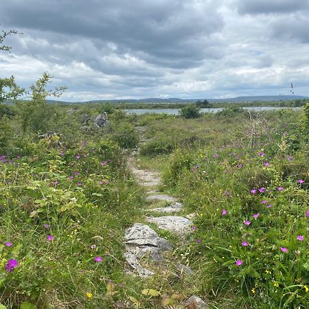 Villa Luxury Glamping Dome With Views Of The Burren Boston Esterno foto