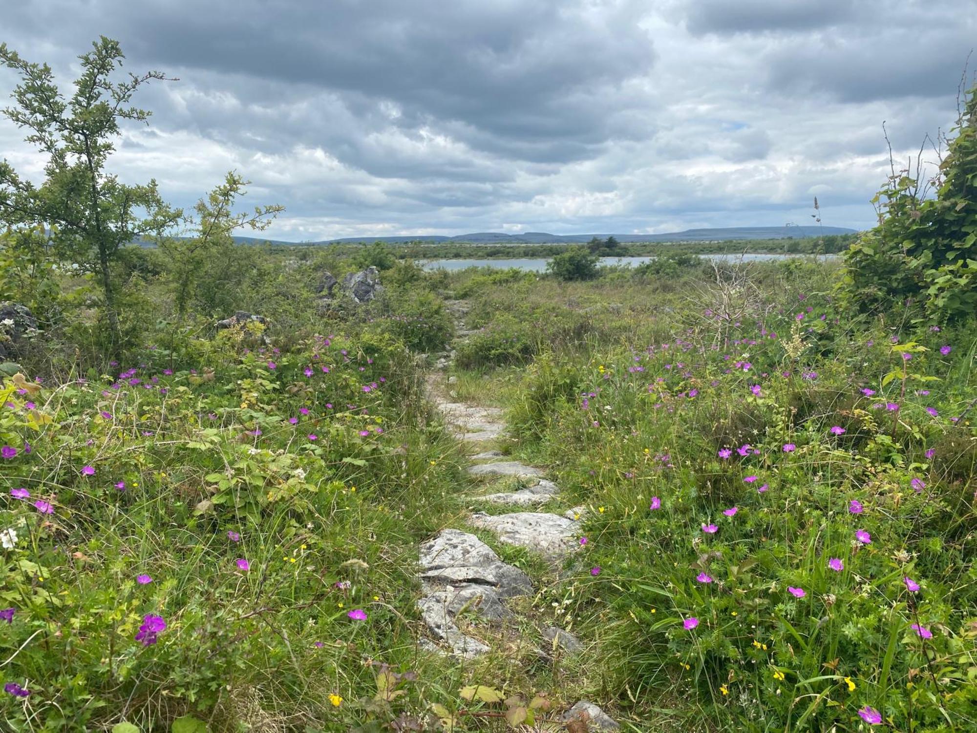 Villa Luxury Glamping Dome With Views Of The Burren Boston Esterno foto